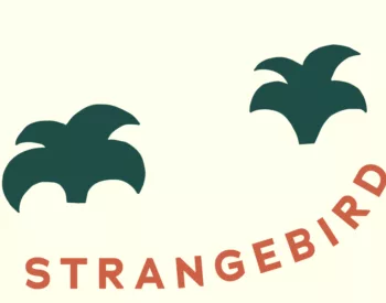 Strange Bird 2026